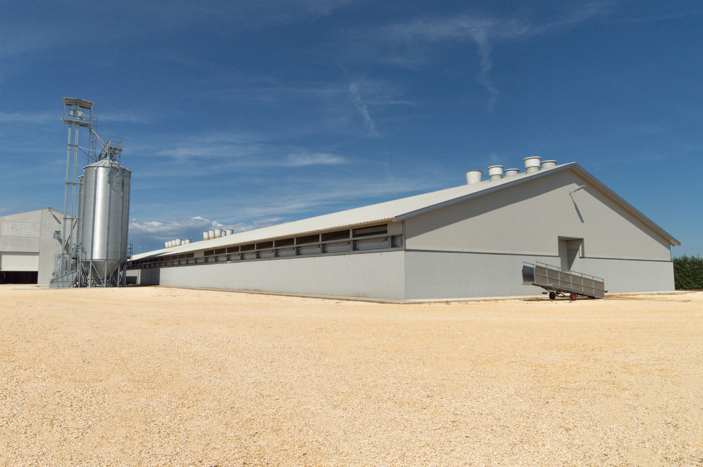 Capannone Industriale Agricolo